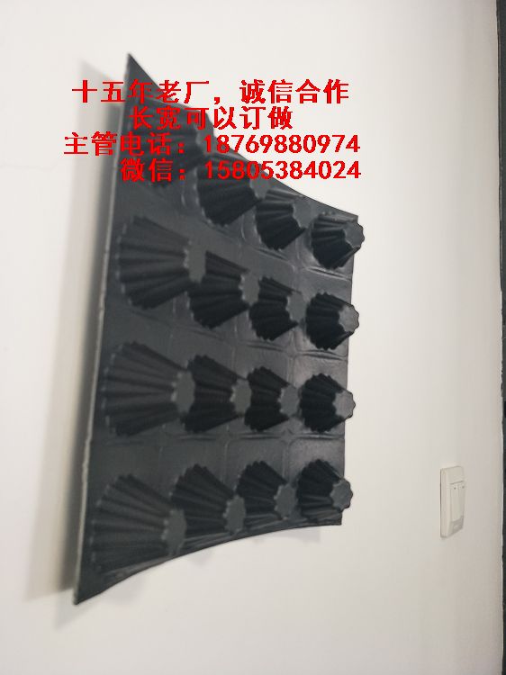 貴陽(yáng)-六盤水-車庫(kù)樓頂綠化濾水板凹凸塑料型